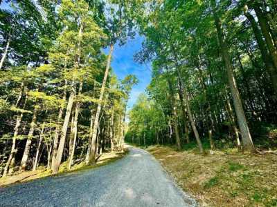 Residential Land For Sale in Bruceton Mills, West Virginia