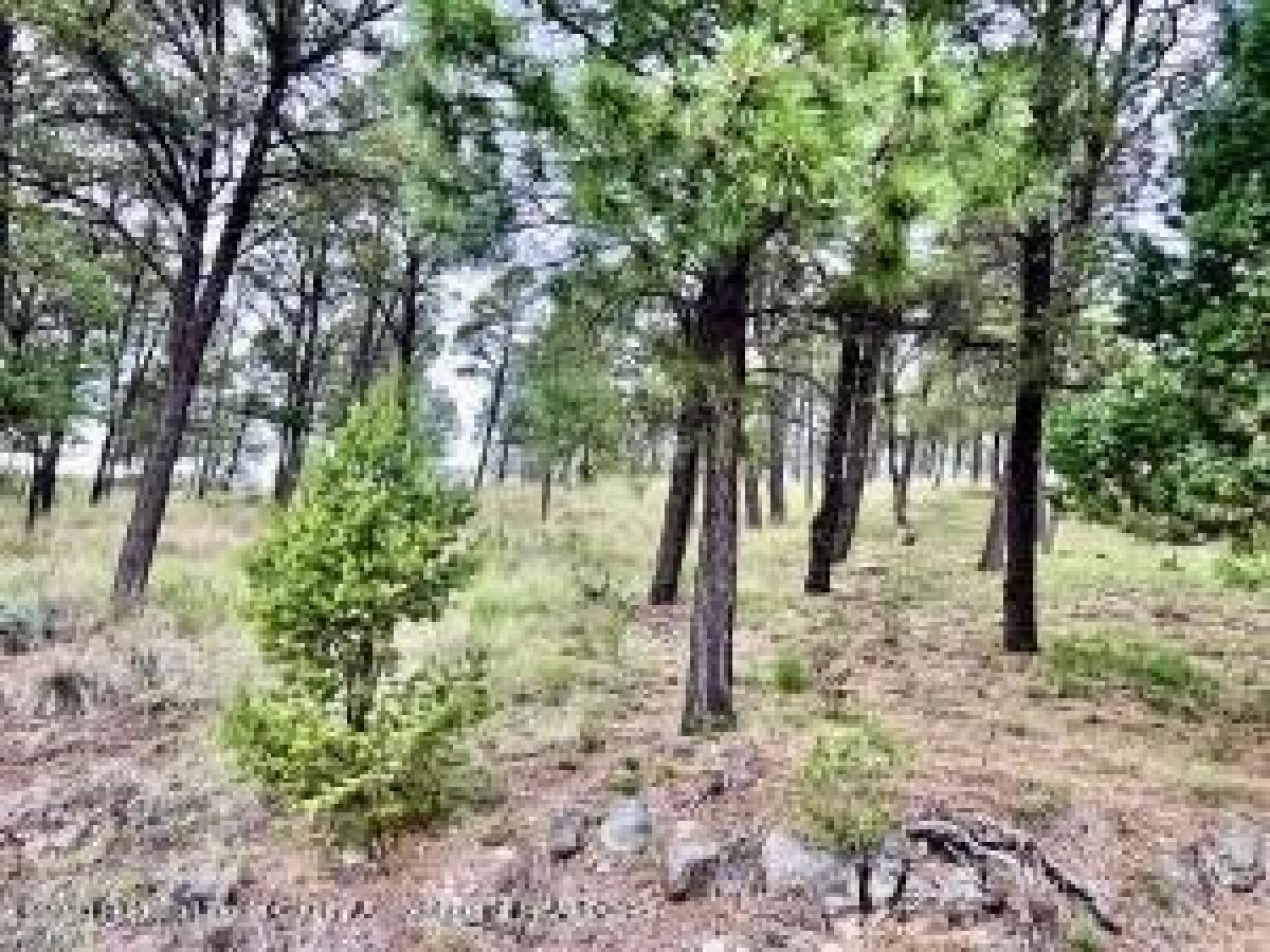 Picture of Residential Land For Sale in Ruidoso, New Mexico, United States