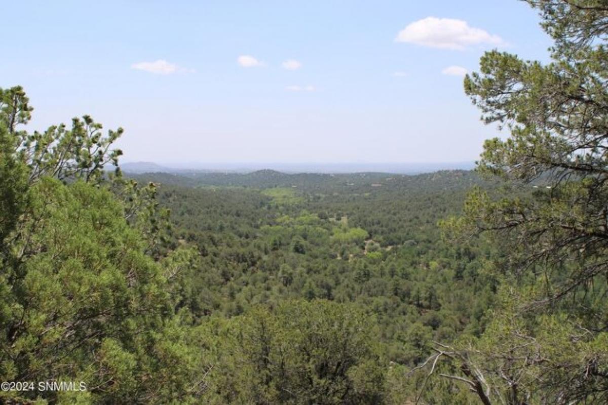 Picture of Residential Land For Sale in Pinos Altos, New Mexico, United States