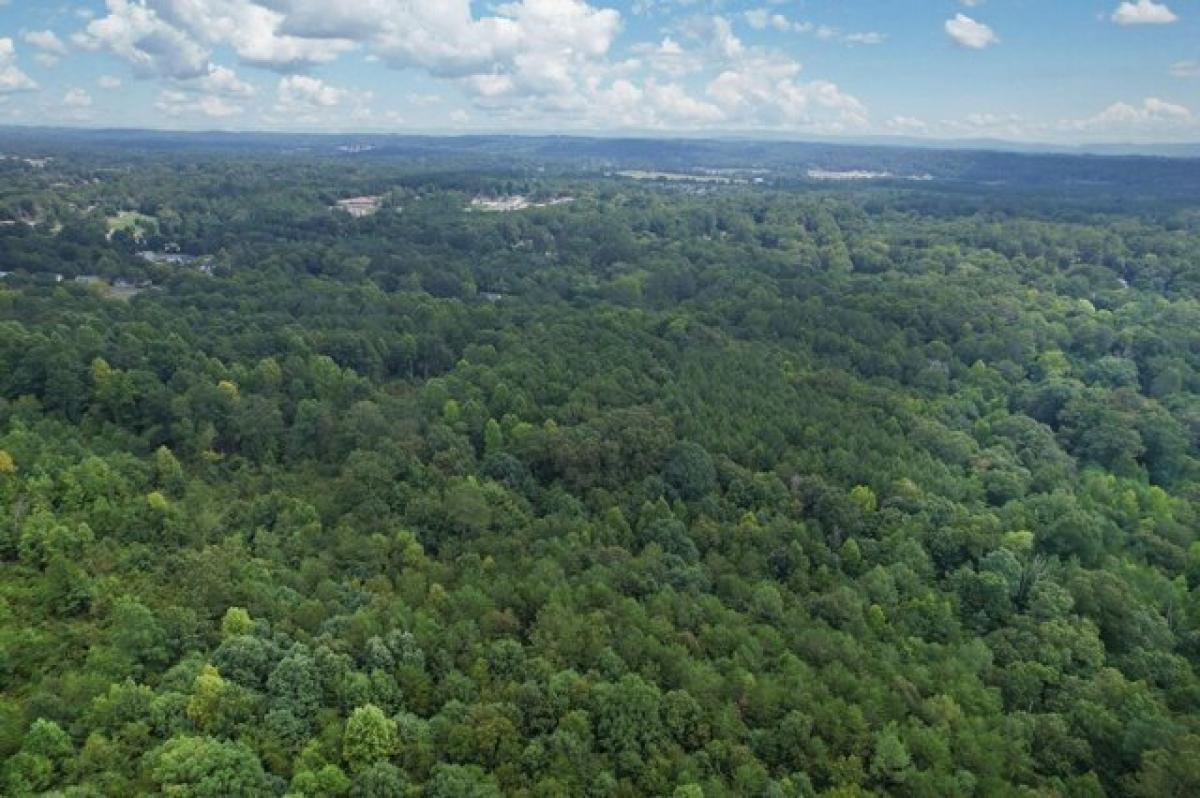 Picture of Residential Land For Sale in Lafayette, Georgia, United States