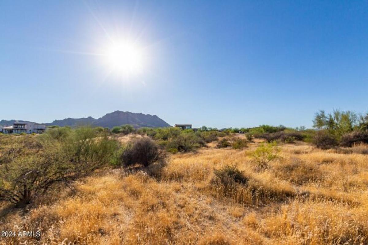 Picture of Residential Land For Sale in Scottsdale, Arizona, United States