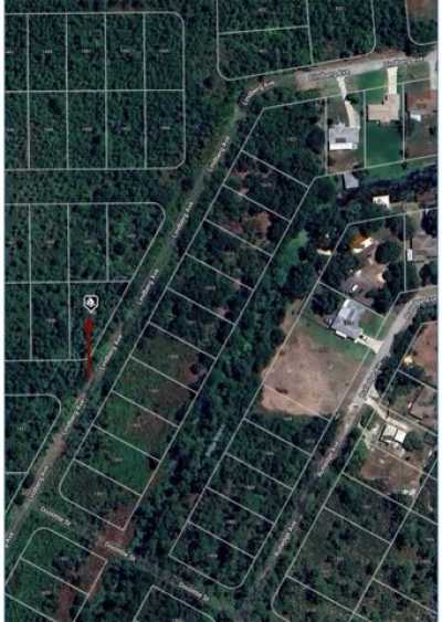 Residential Land For Rent in Lake Placid, Florida