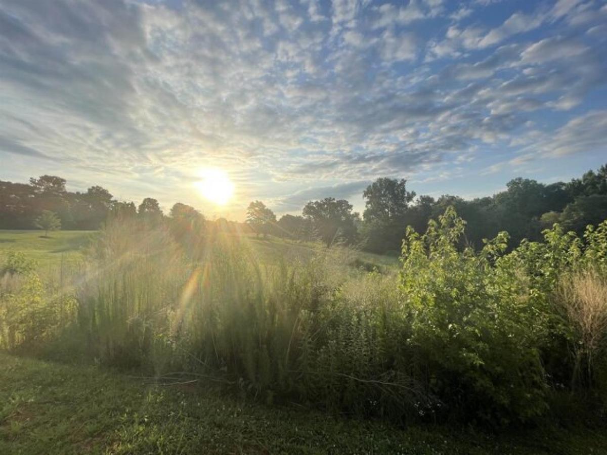 Picture of Residential Land For Sale in Chapel Hill, North Carolina, United States