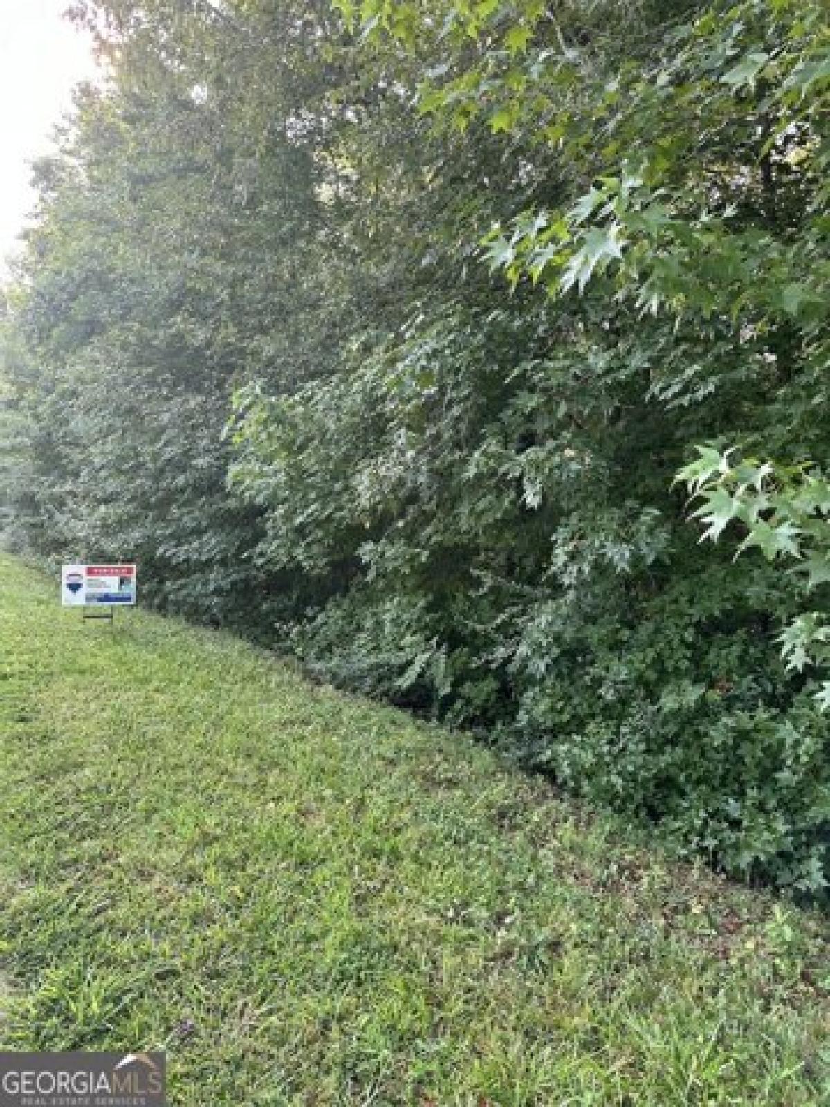 Picture of Residential Land For Sale in Temple, Georgia, United States