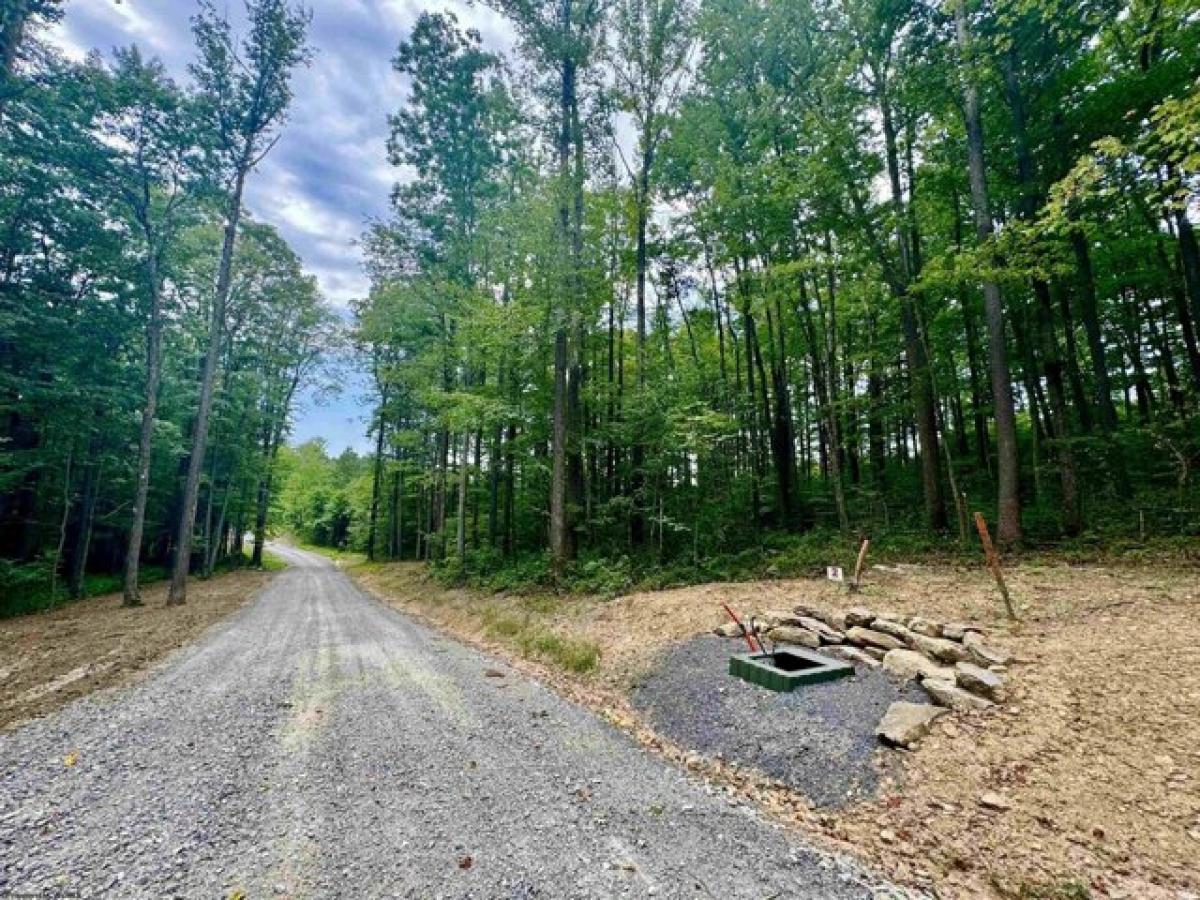 Picture of Residential Land For Sale in Bruceton Mills, West Virginia, United States