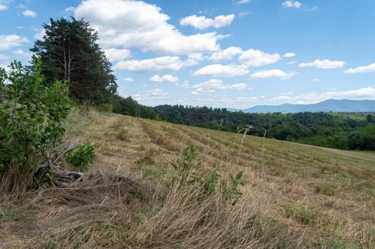 Picture of Residential Land For Sale in Shenandoah, Virginia, United States