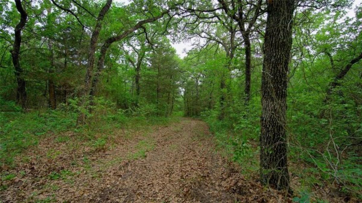 Picture of Residential Land For Sale in Forestburg, Texas, United States