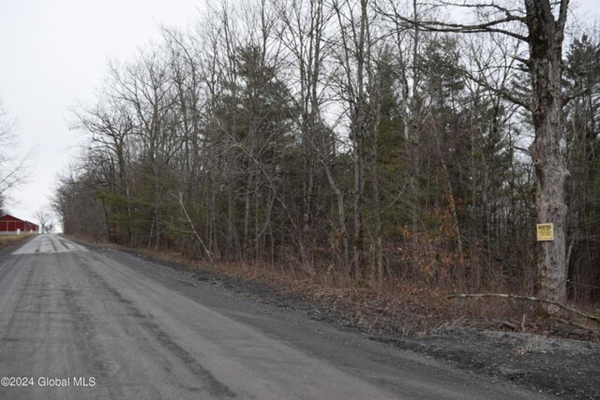 Picture of Residential Land For Sale in Delanson, New York, United States