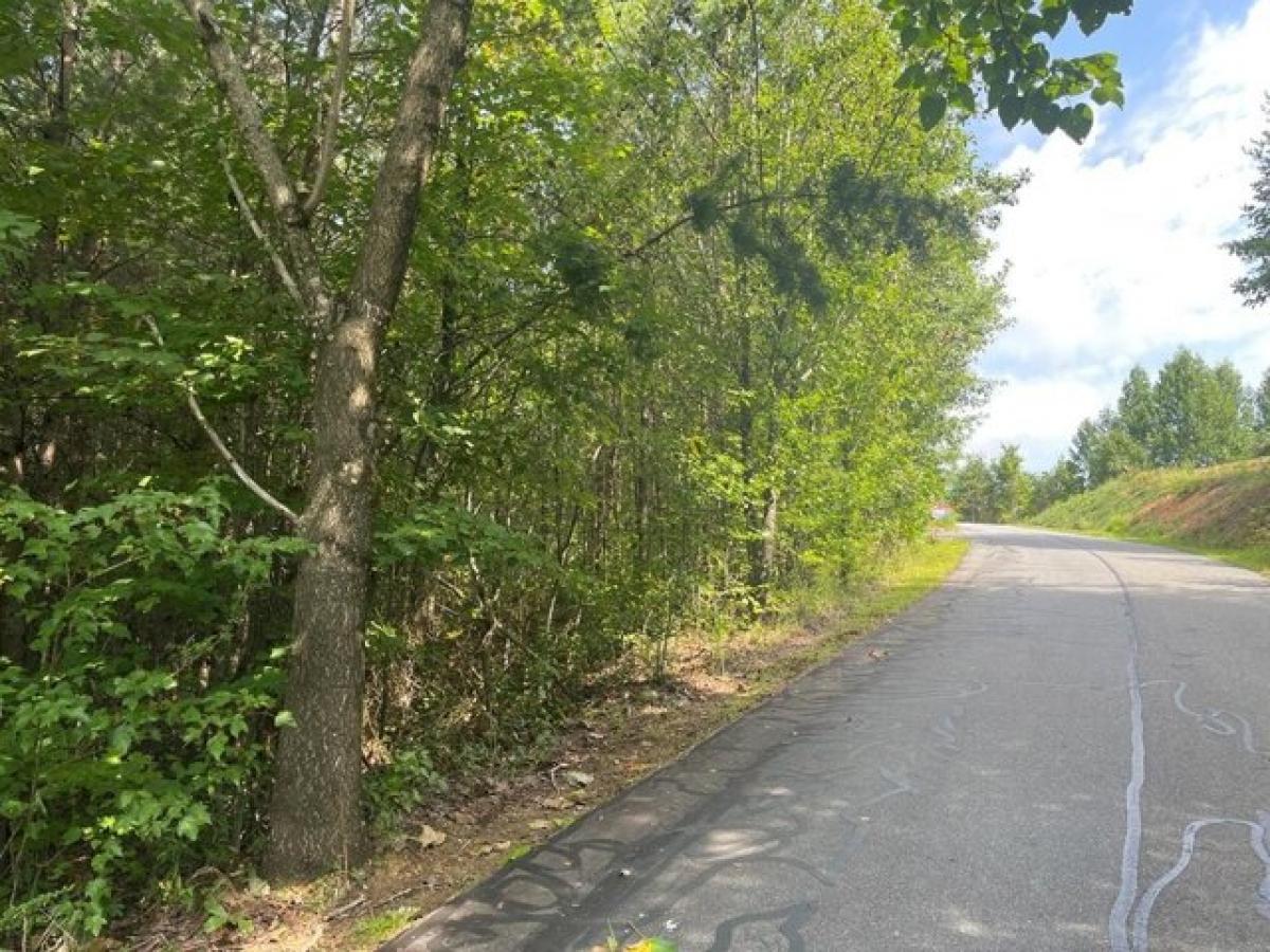 Picture of Residential Land For Sale in Murphy, North Carolina, United States