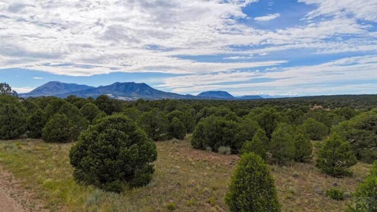 Picture of Residential Land For Sale in Walsenburg, Colorado, United States