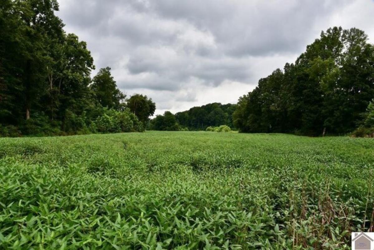 Picture of Residential Land For Sale in Benton, Kentucky, United States