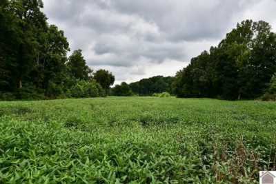 Residential Land For Sale in Benton, Kentucky