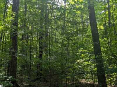 Residential Land For Sale in Gaylord, Michigan