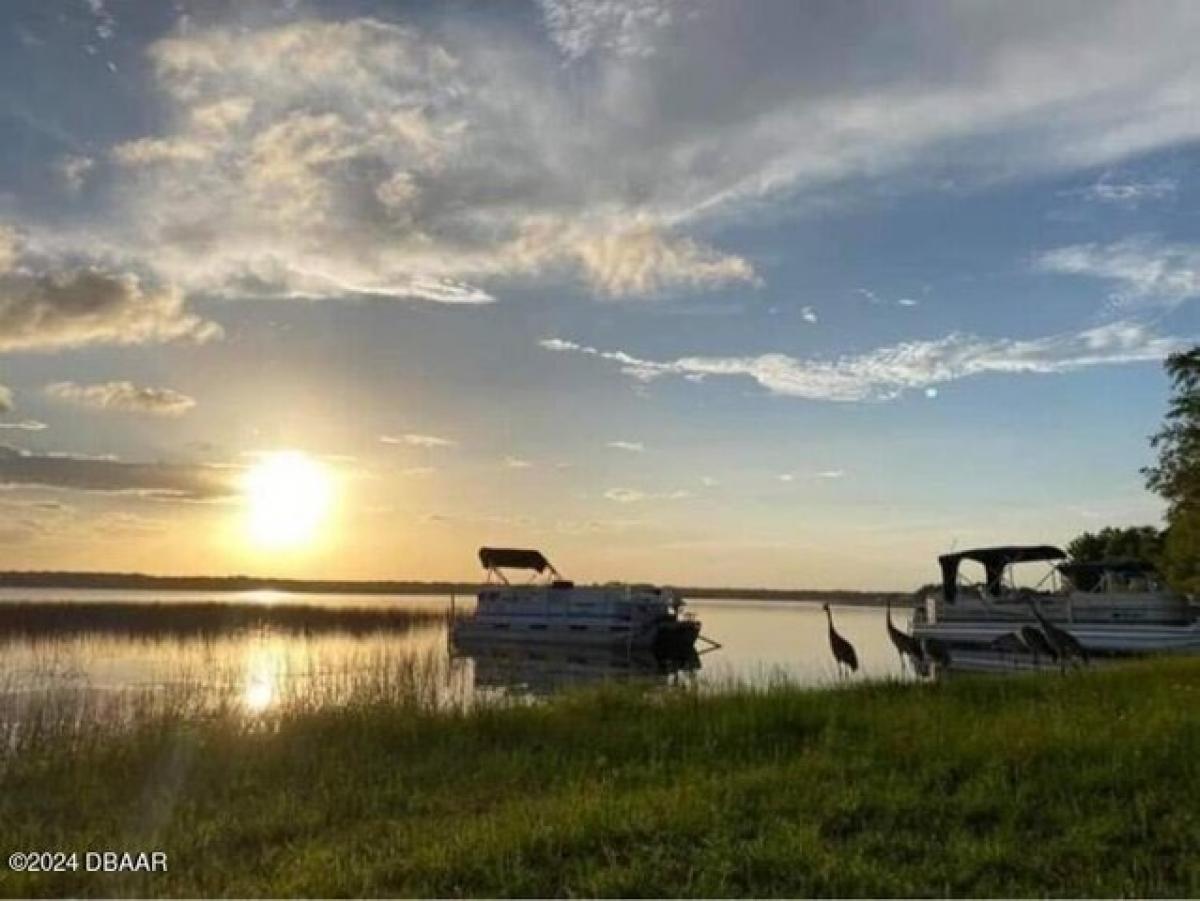 Picture of Residential Land For Sale in Salt Springs, Florida, United States