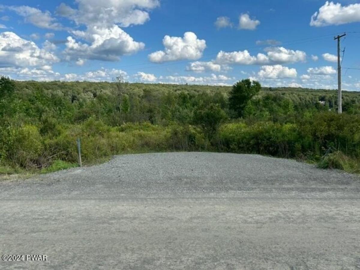 Picture of Residential Land For Sale in Thompson, Pennsylvania, United States