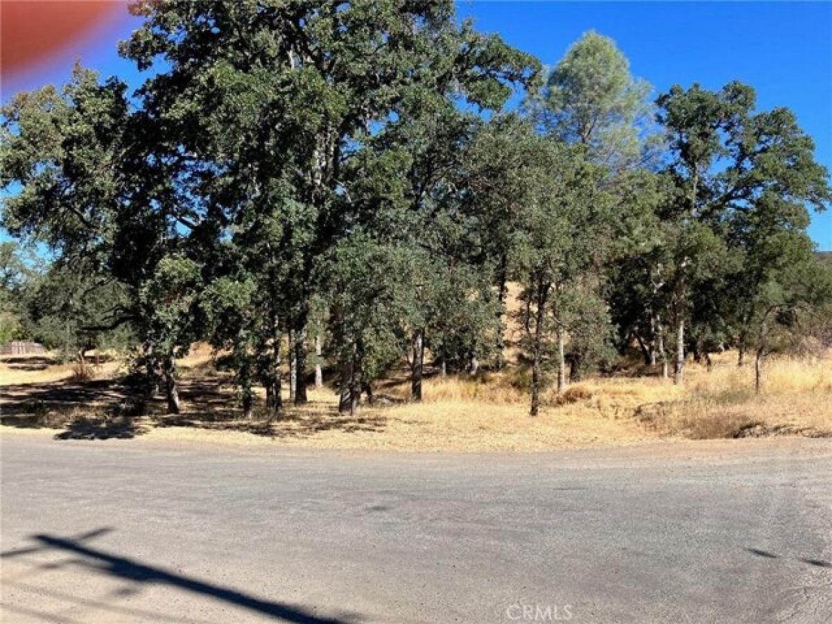 Picture of Residential Land For Sale in Clearlake, California, United States