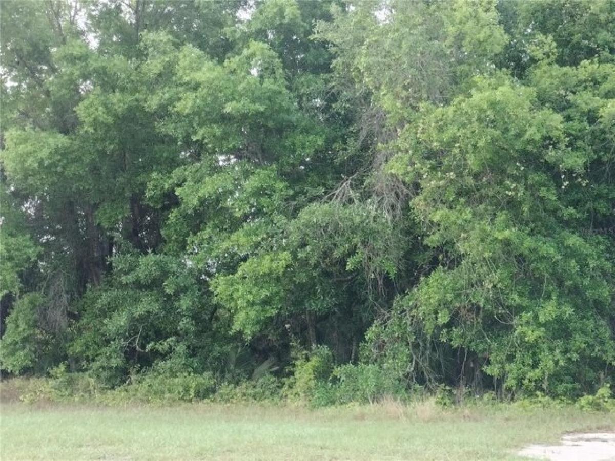 Picture of Residential Land For Sale in Eustis, Florida, United States