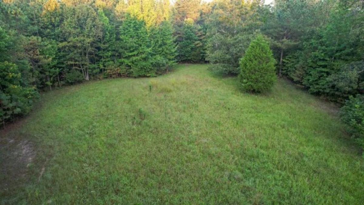 Picture of Residential Land For Sale in Holladay, Tennessee, United States