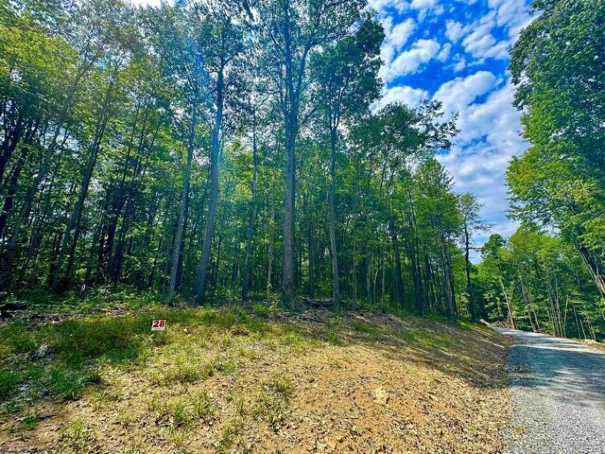 Picture of Residential Land For Sale in Bruceton Mills, West Virginia, United States