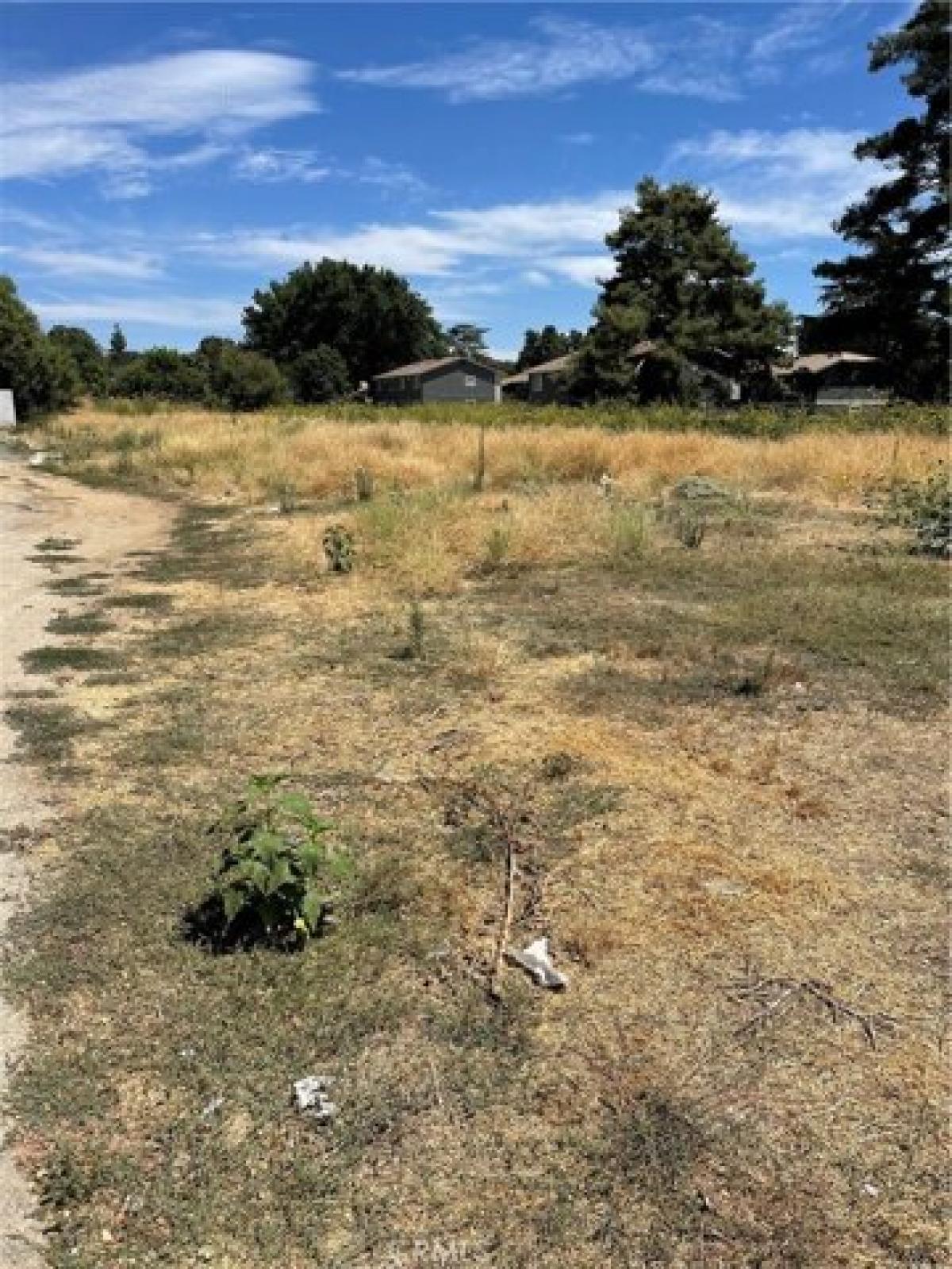 Picture of Residential Land For Sale in Yucaipa, California, United States