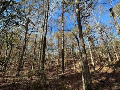 Residential Land For Sale in Pelahatchie, Mississippi