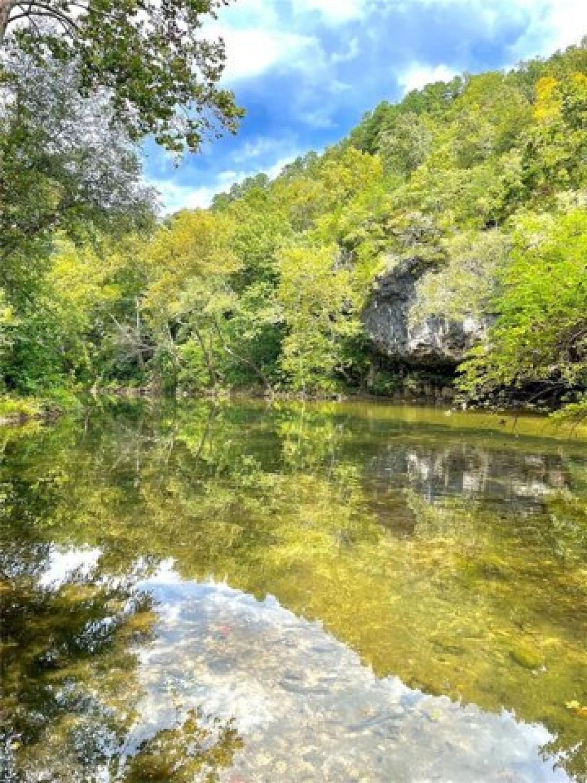 Picture of Residential Land For Sale in Licking, Missouri, United States