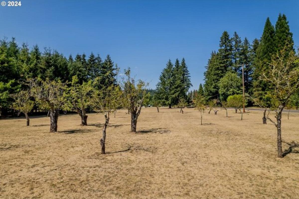 Picture of Residential Land For Sale in Lebanon, Oregon, United States