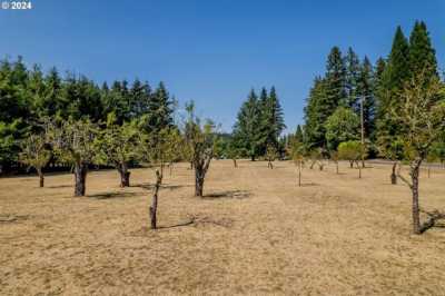 Residential Land For Sale in Lebanon, Oregon