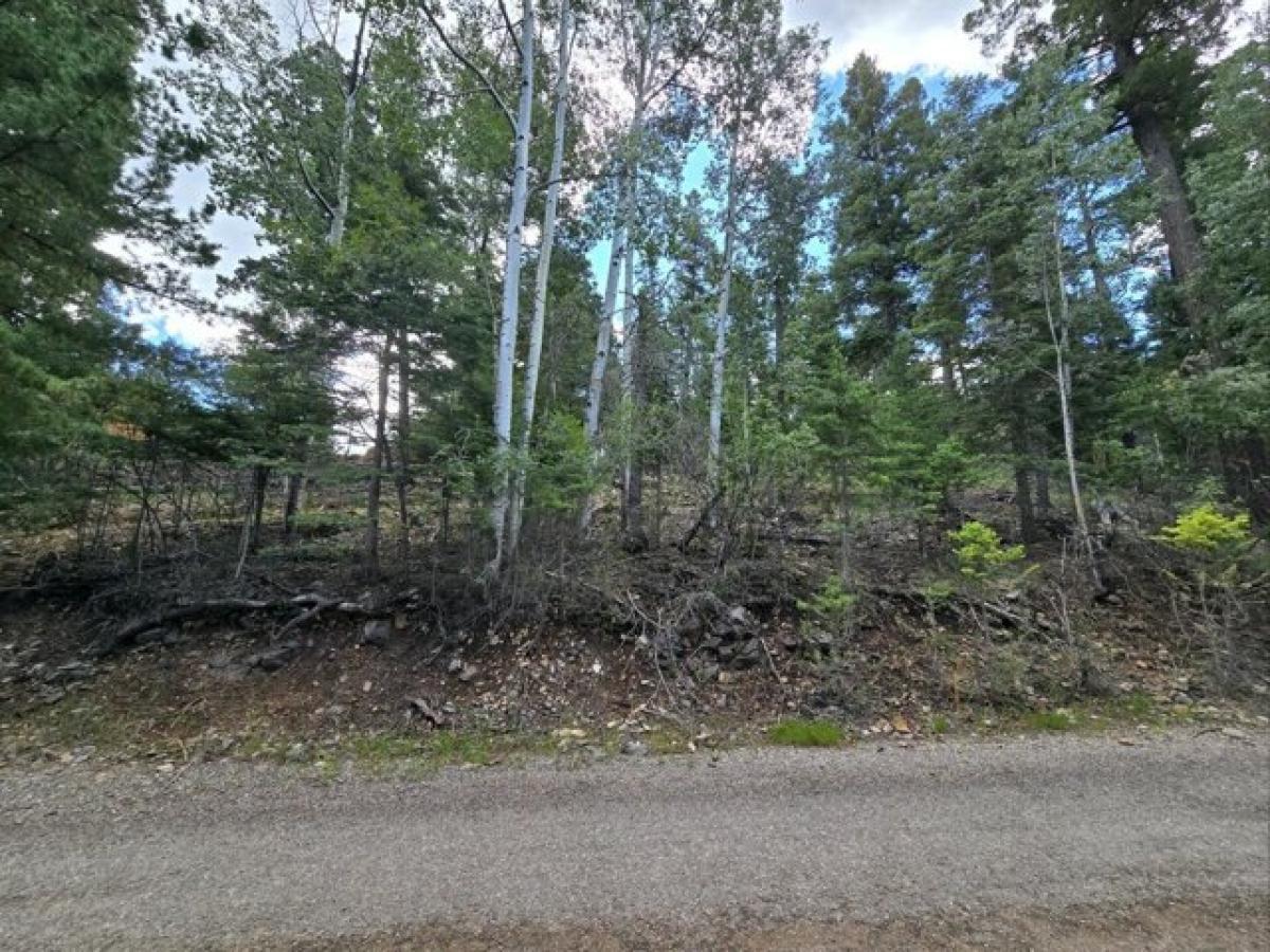 Picture of Residential Land For Sale in Cloudcroft, New Mexico, United States