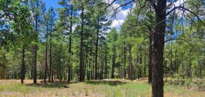 Residential Land For Sale in Happy Jack, Arizona