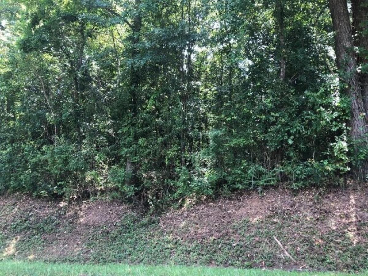 Picture of Residential Land For Sale in Laurel, Mississippi, United States