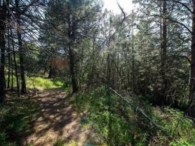 Residential Land For Sale in Mica, Washington