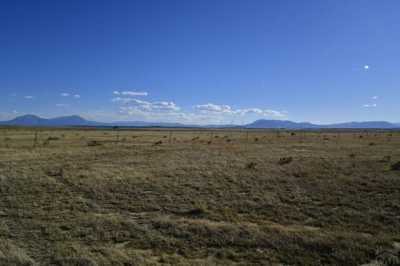 Residential Land For Sale in Rye, Colorado