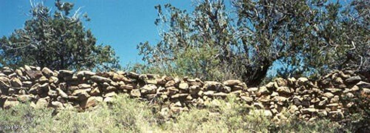 Picture of Residential Land For Sale in Springerville, Arizona, United States