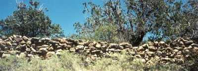 Residential Land For Sale in Springerville, Arizona