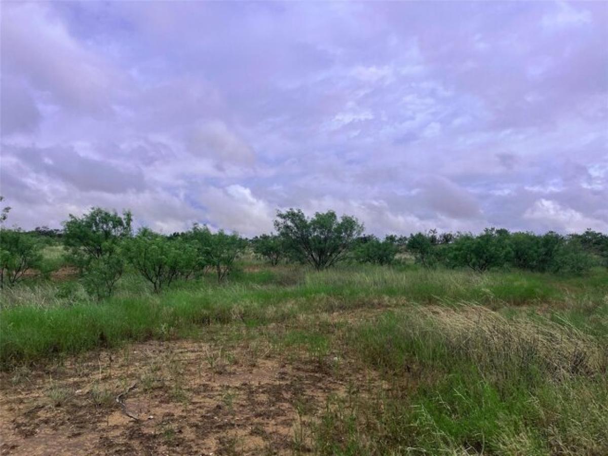 Picture of Residential Land For Sale in Merkel, Texas, United States