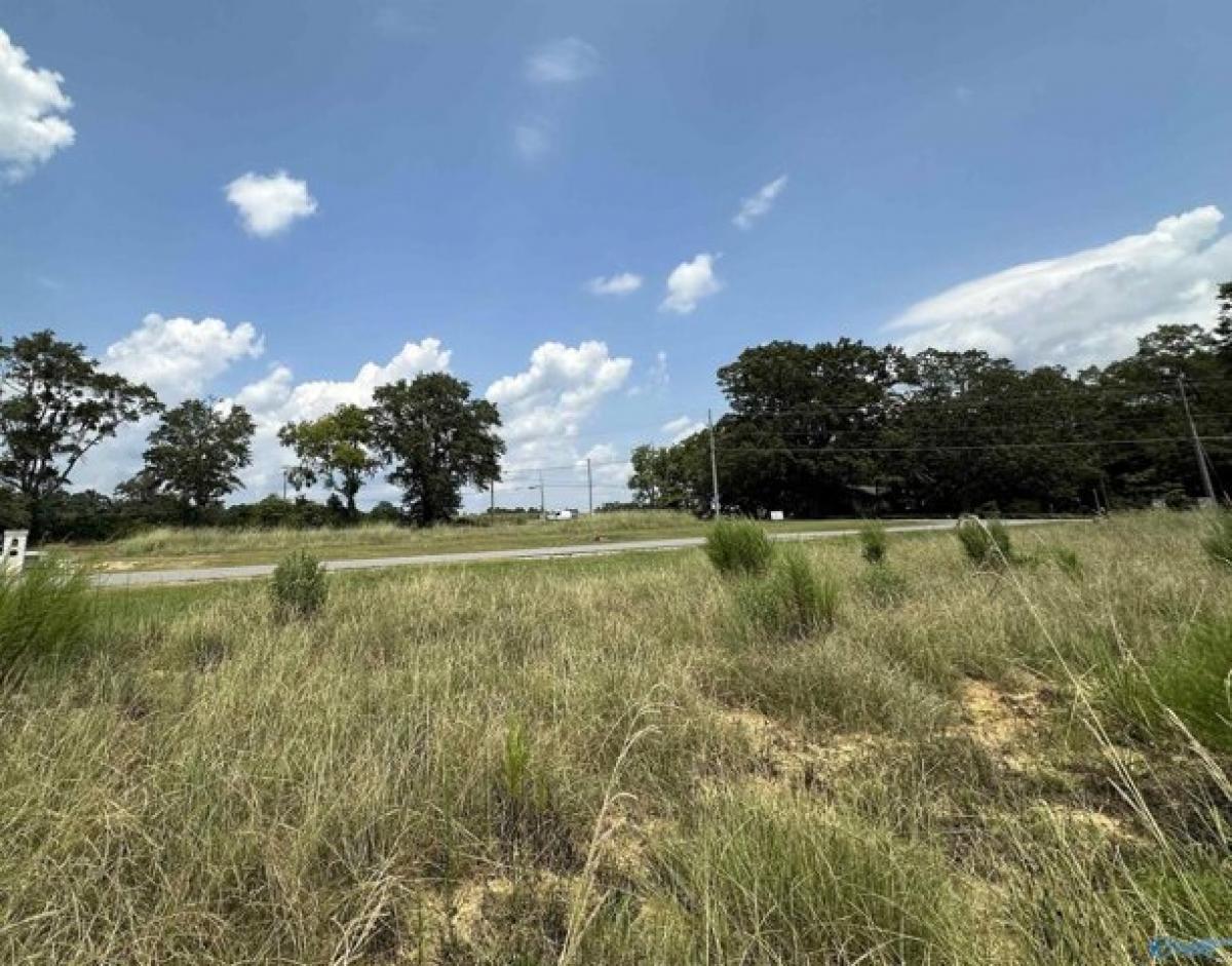 Picture of Residential Land For Sale in Gadsden, Alabama, United States