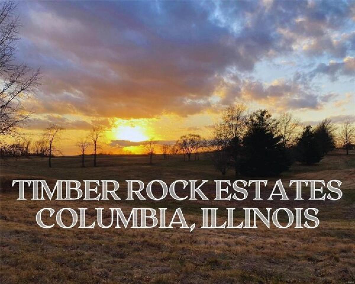 Picture of Residential Land For Sale in Columbia, Illinois, United States