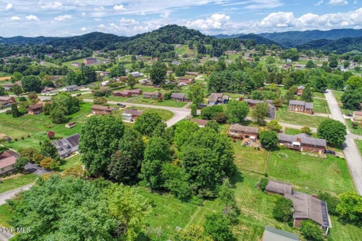 Picture of Residential Land For Sale in Mount Carmel, Tennessee, United States