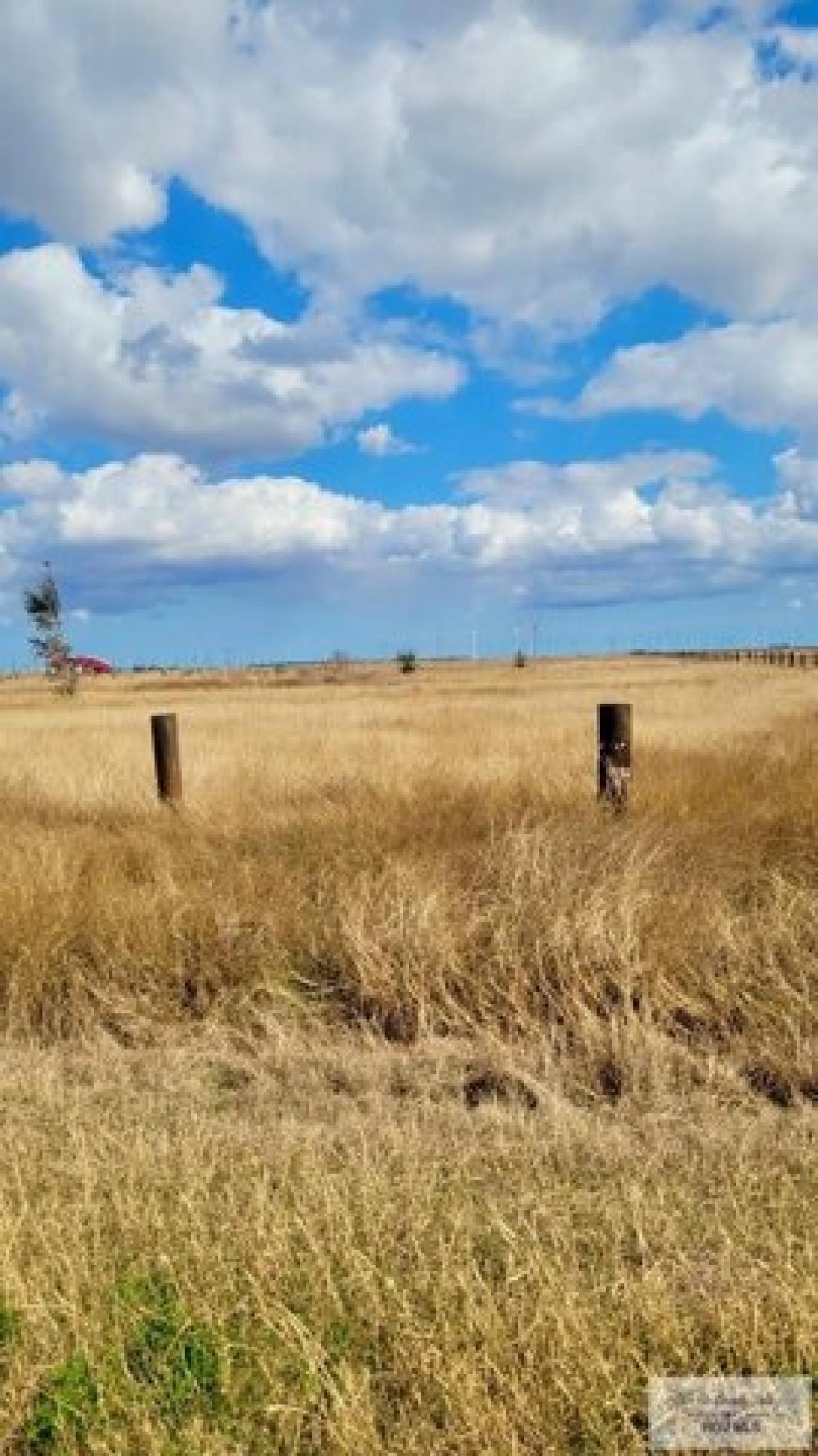 Picture of Residential Land For Sale in Raymondville, Texas, United States