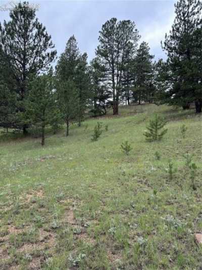 Residential Land For Sale in Florissant, Colorado