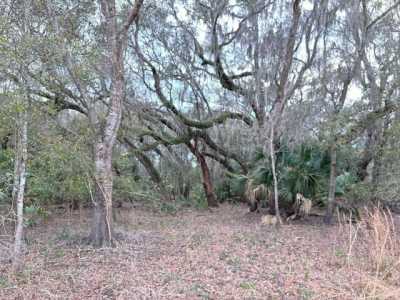 Residential Land For Sale in Chiefland, Florida