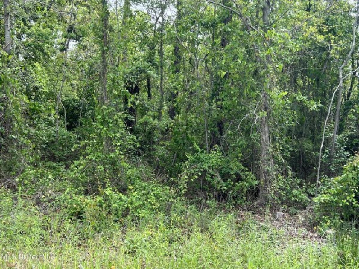 Picture of Residential Land For Sale in Pass Christian, Mississippi, United States