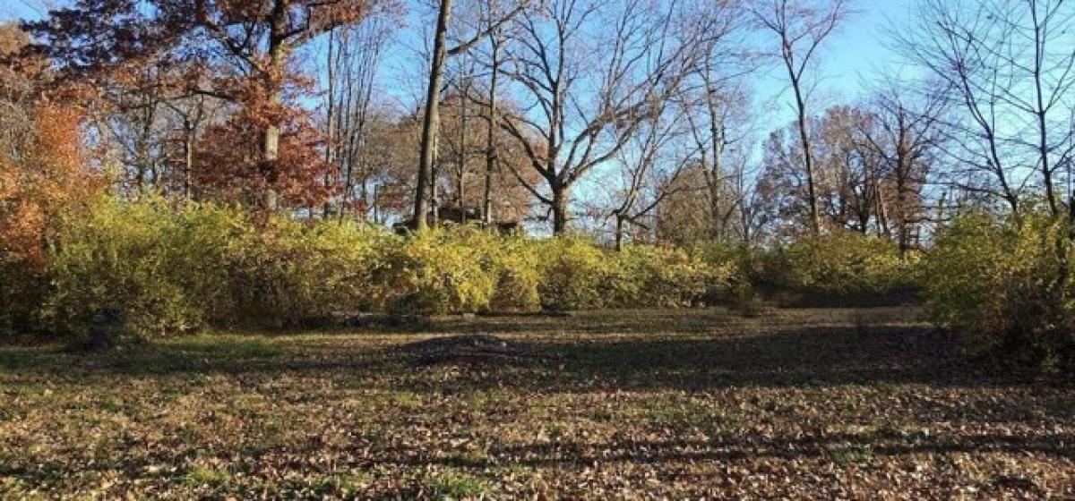 Picture of Residential Land For Sale in Indianapolis, Indiana, United States