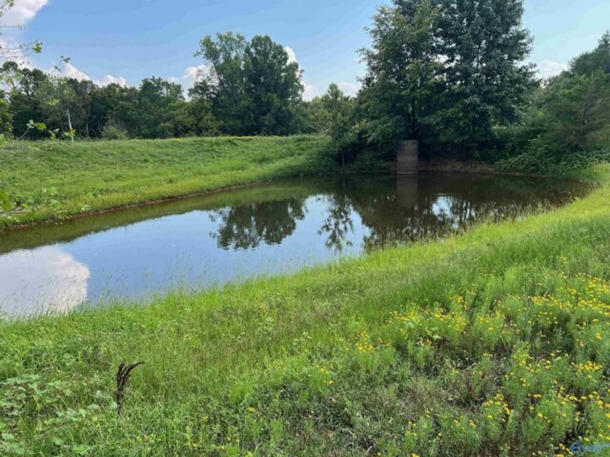 Picture of Residential Land For Sale in Elkmont, Alabama, United States