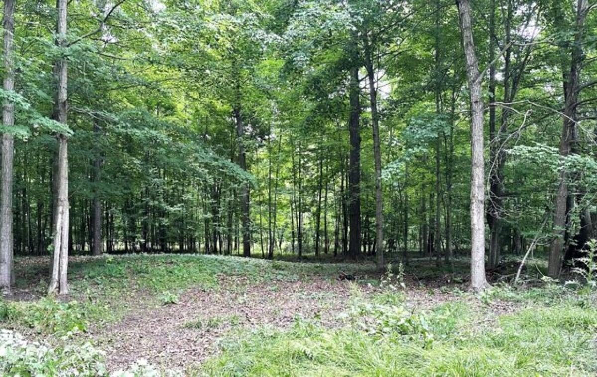 Picture of Residential Land For Sale in Stanton, Michigan, United States