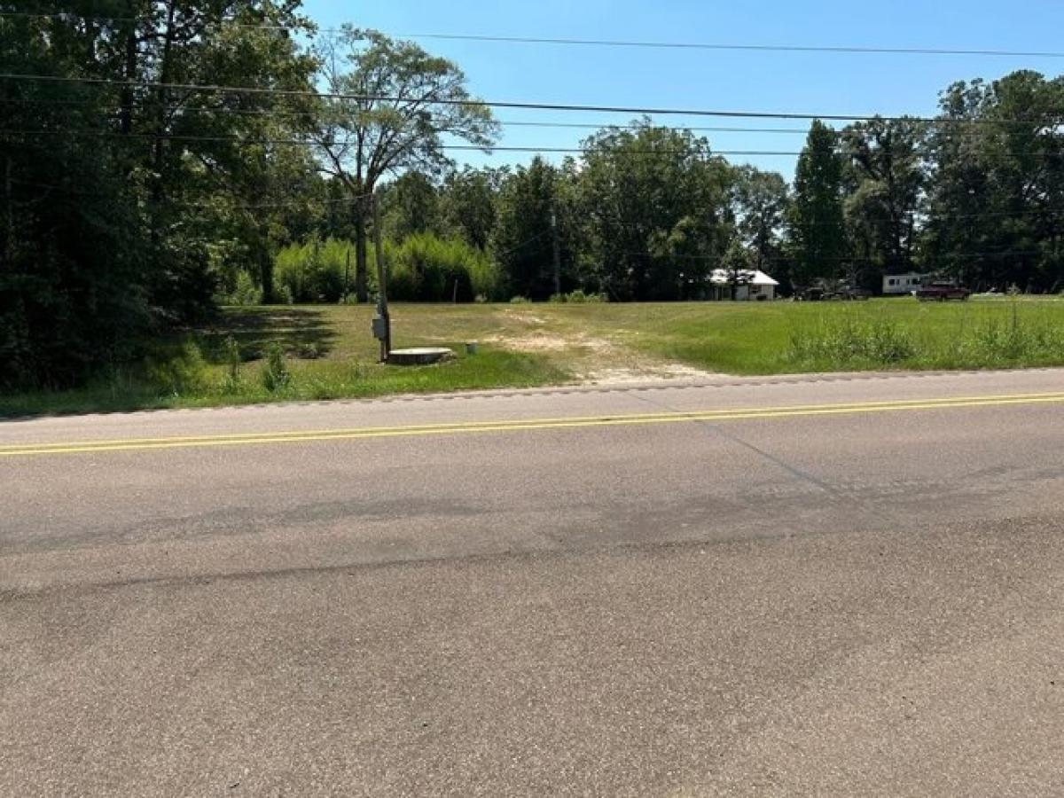 Picture of Residential Land For Sale in Ellisville, Mississippi, United States