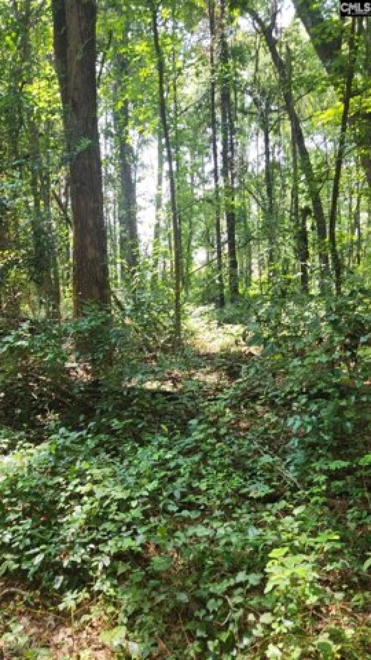 Picture of Residential Land For Sale in Columbia, South Carolina, United States