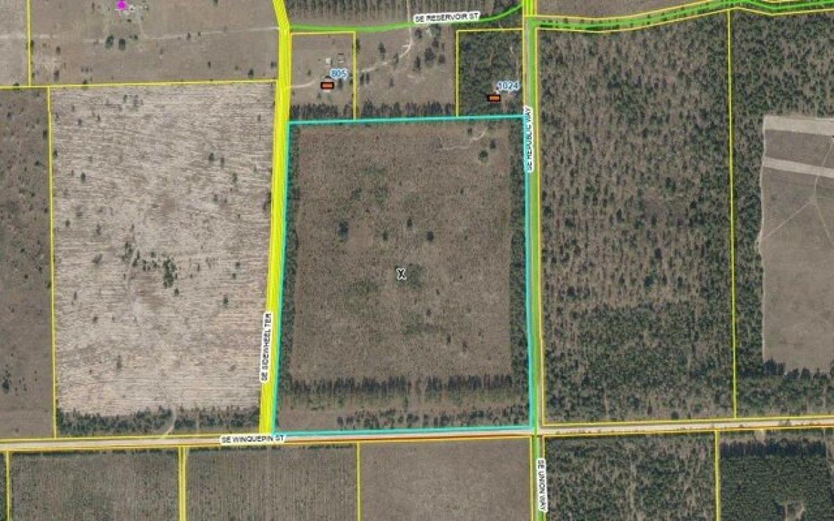 Picture of Residential Land For Sale in Lee, Florida, United States