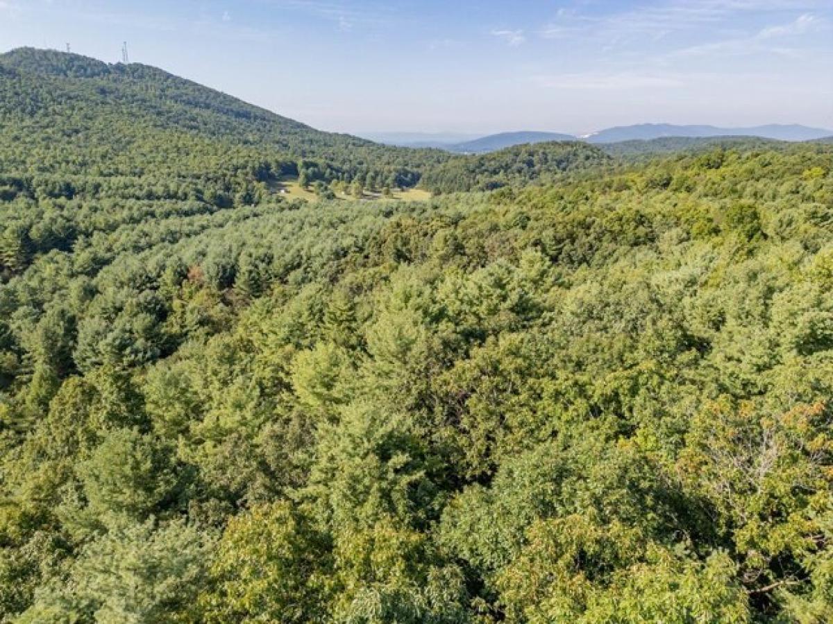 Picture of Residential Land For Sale in Max Meadows, Virginia, United States